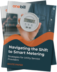 Navigating the Shift to Smart Metering White Paper